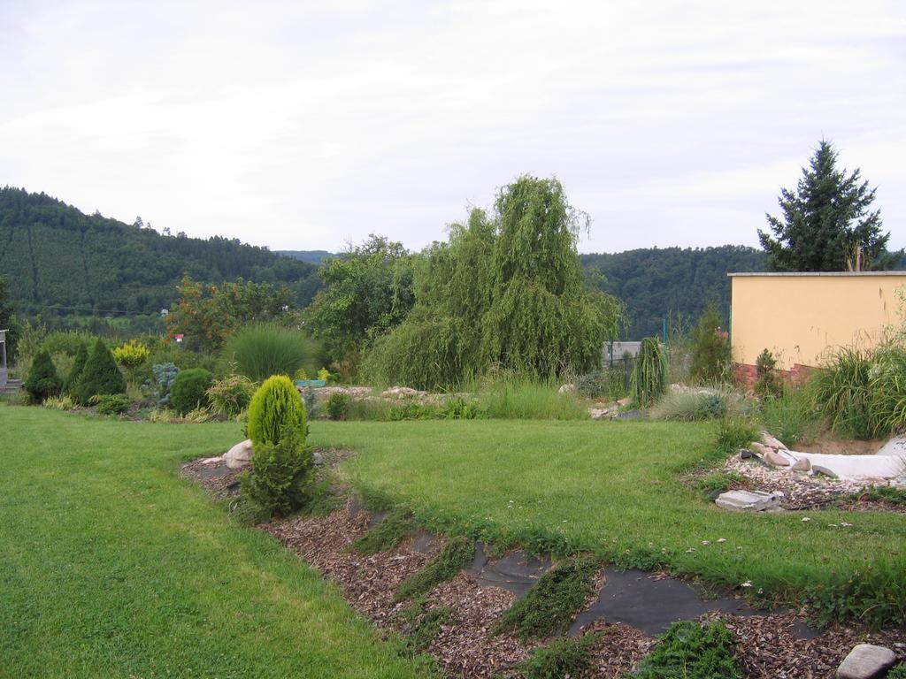 Penzion Surf Blansko Oda fotoğraf
